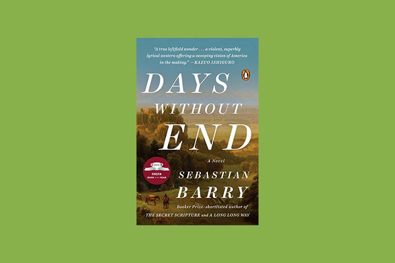 Novel Days Without End karya Sebastian Barry