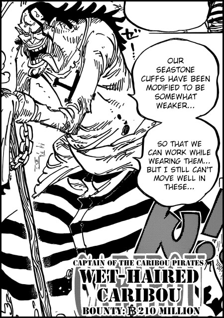 caribou one piece