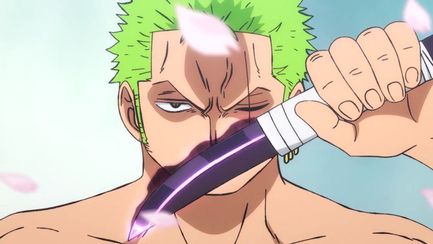 zoro haki di one piece 892